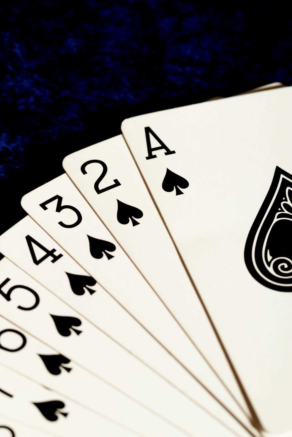https://snatchcasino-se.net https://snatchcasino-se.net